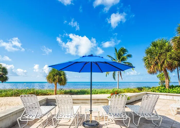 Coconut Palms
